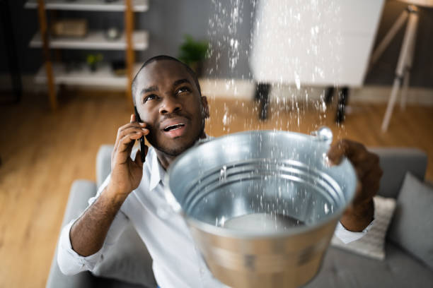 Best Flood restoration services  in Brooklyn, WI