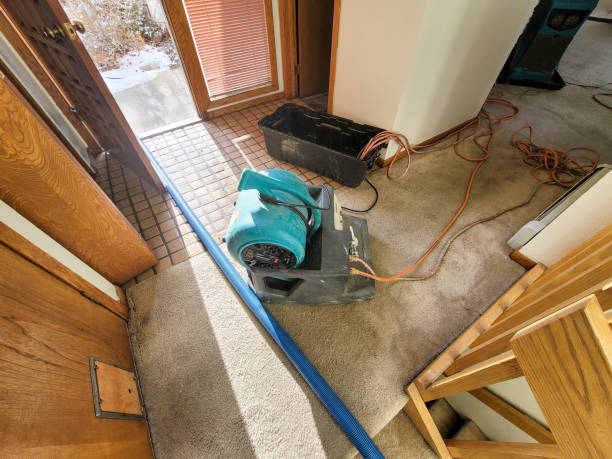 Best Flood damage cleanup  in Brooklyn, WI