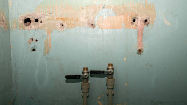Best Flood damage cleanup  in Brooklyn, WI