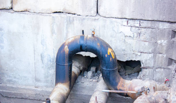 Best Sewage cleanup and water damage restoration  in Brooklyn, WI