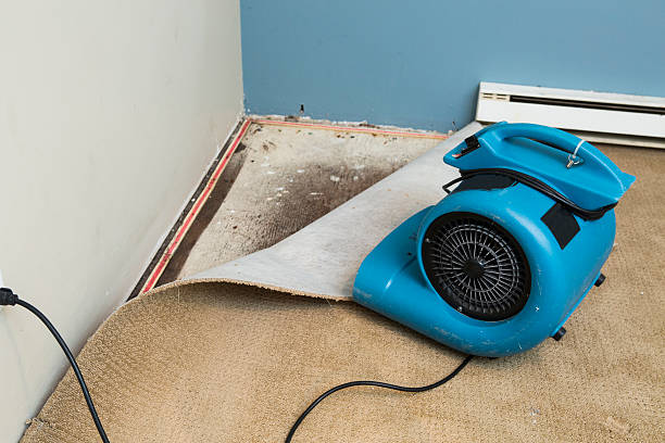 Best Sewage cleanup and water damage restoration  in Brooklyn, WI